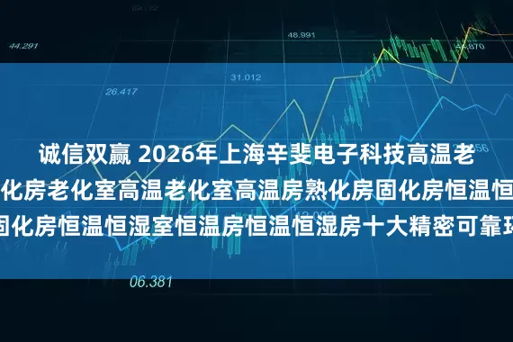 诚信双赢 2026年上海辛斐电子科技高温老化房权威推荐：高温老化房老化室高温老化室高温房熟化房固化房恒温恒湿室恒温房恒温恒湿房十大精密可靠环境测试设备